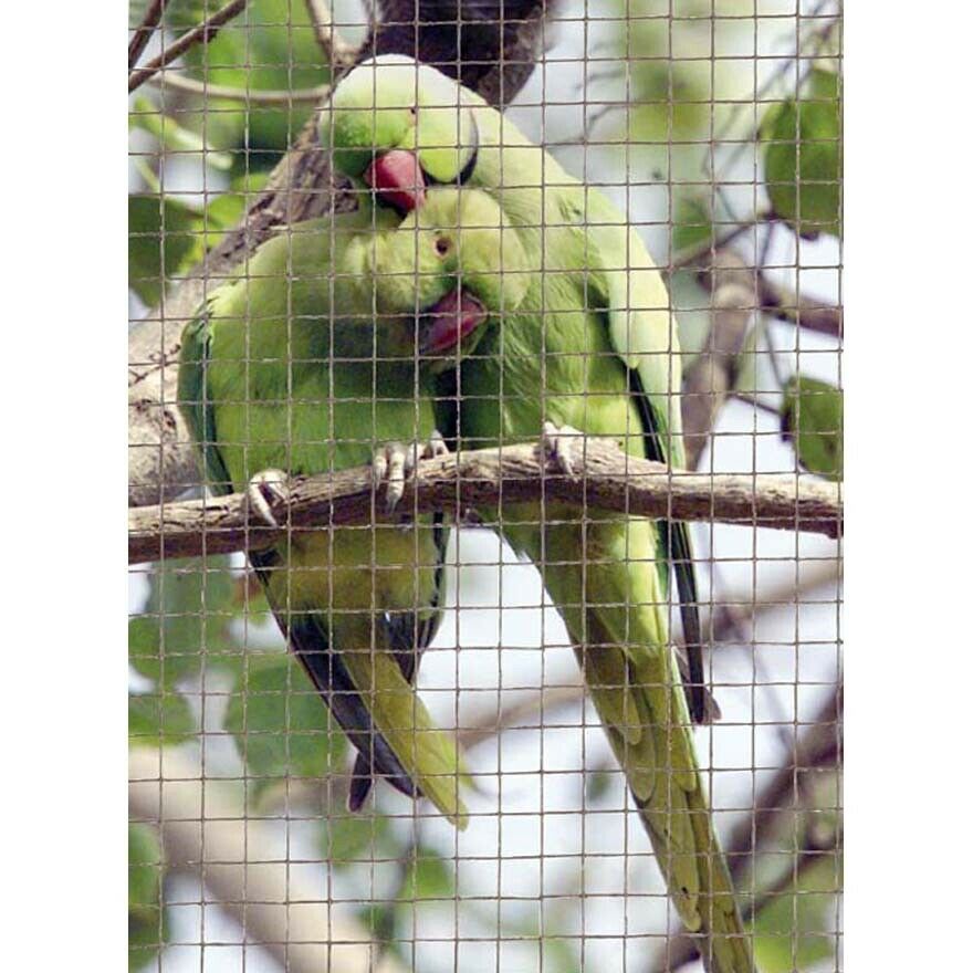 Rete Metallica Zincata in Rotolo 1-5 m Maglia quadra Voliere Giardino Recinzione