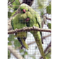 Rete Metallica Zincata in Rotolo 1-5 m Maglia quadra Voliere Giardino Recinzione