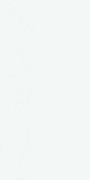 PLASTICA ADESIVA BIANCO OPACO DC FIX 90X210 CM