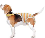 Luiers per cani - Pantaloni per cani - Pantalon per cane - Abbigliamento per cani - Modelli regolabili - Stoffa morbida e respirante - Misura L - Disegno progettato per un uso quotidiano - Abbigliamento per cani in stoffa morbida e respirante