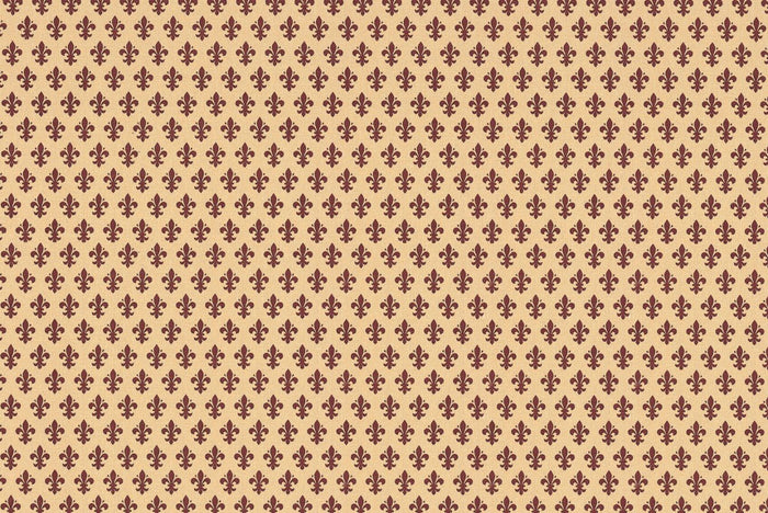 PLASTICA ADESIVA GIGLIO DI FIRENZE MARRONE DC-FIX MINI 45X200