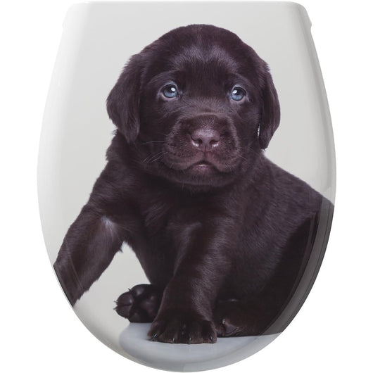 Tiger labrador sedile per wc, bianco, 45.2x52.1x3.7 cm