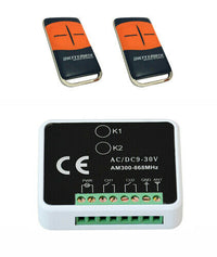 KIT RICEVENTE 2 CANALI 2 TELECOMANDI ROLLING CODE RICEVITORE CANCELLO SERRANDA