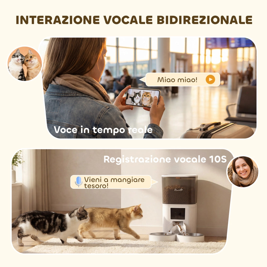 Distributore Automatico Cibo Gatti 6L WiFi 2.4G App con Timer 1-10 Pasti al Giorno 2 Ciotole in Acciaio Inox Bianco