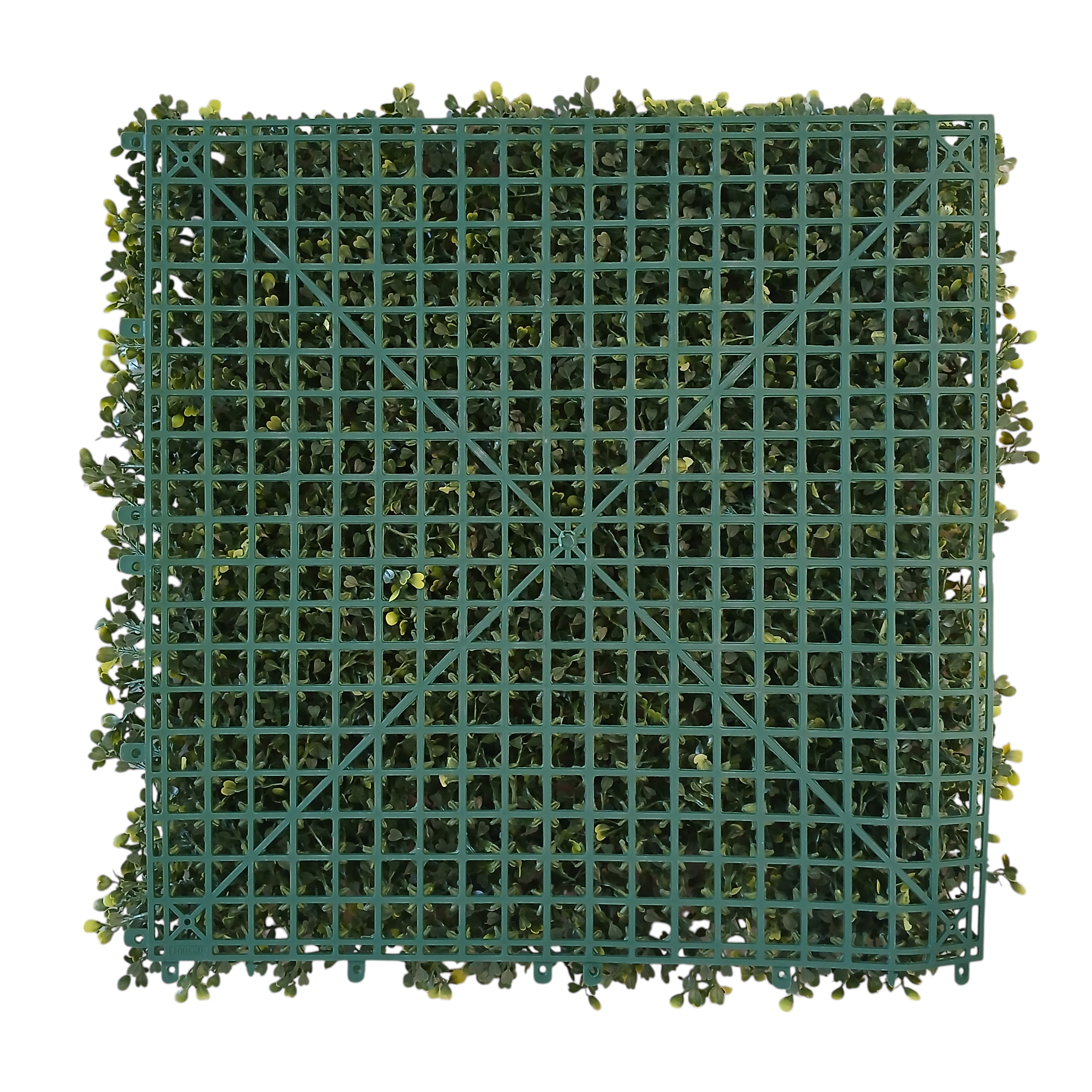 SIEPE ARTIFICIALE BOXWOOD 50X50CM VERDE FISSA