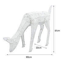 Renne di Natale Luminose Decorazione da Esterno per la Casa Luci LED Bianco Ghiaccio Figure Luminosa Luci di Natale - Maschio & Femmina - Bianco