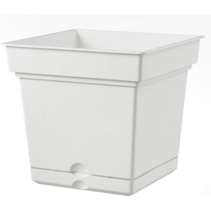 Teraplast elements still 38 bianco