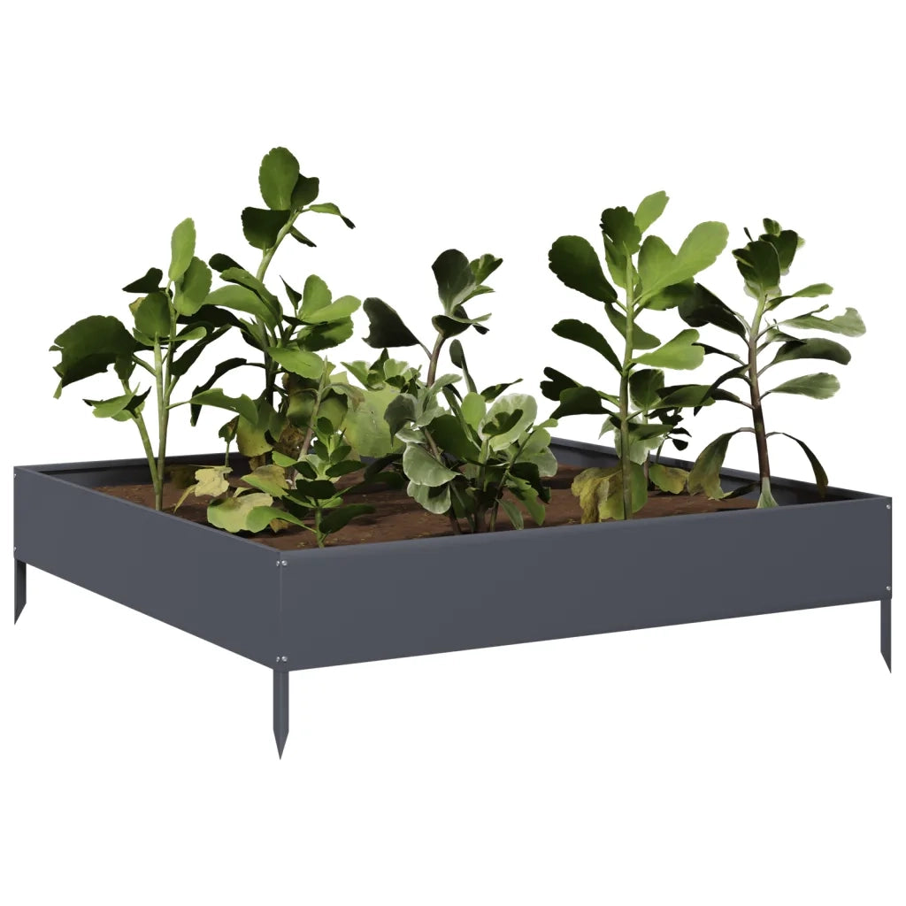 Fioriera | Cassetta per fiori | Vaso Rialzata da Giardino Antracite 100x100x26 cm Acciaio