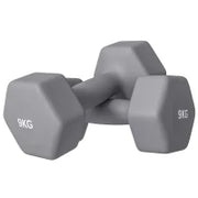 Set 2 Manubri Esagonali da 9 kg in Metallo e Plastica con Impugnatura Antiscivolo, 25x11x11cm, Grigio