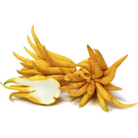 PIANTA ALBERO cedro LIMONE MANO DI BUDDHA VASO20 agrumi di sicilia h60/80cm FOTO