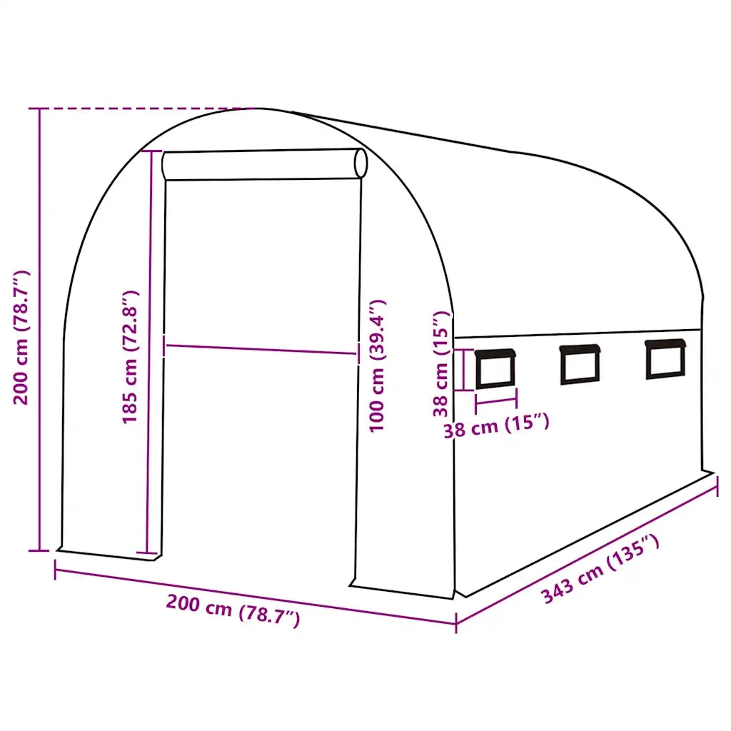 Telo di Ricambio per Serra (6,86 m2) 200x343x200 cm Verde CFW8967442