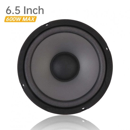Un subwoofer a due vie da 6,5 pollici 600W autolivellante