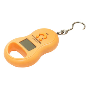 Bilancia elettronica portatile da 50 Kg