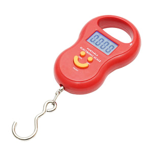 Bilancia portatile elettronica da 50 Kg