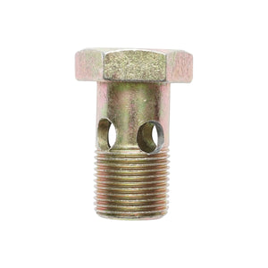 BULLONE FORATO PER RACCORDO STM 20x1,5