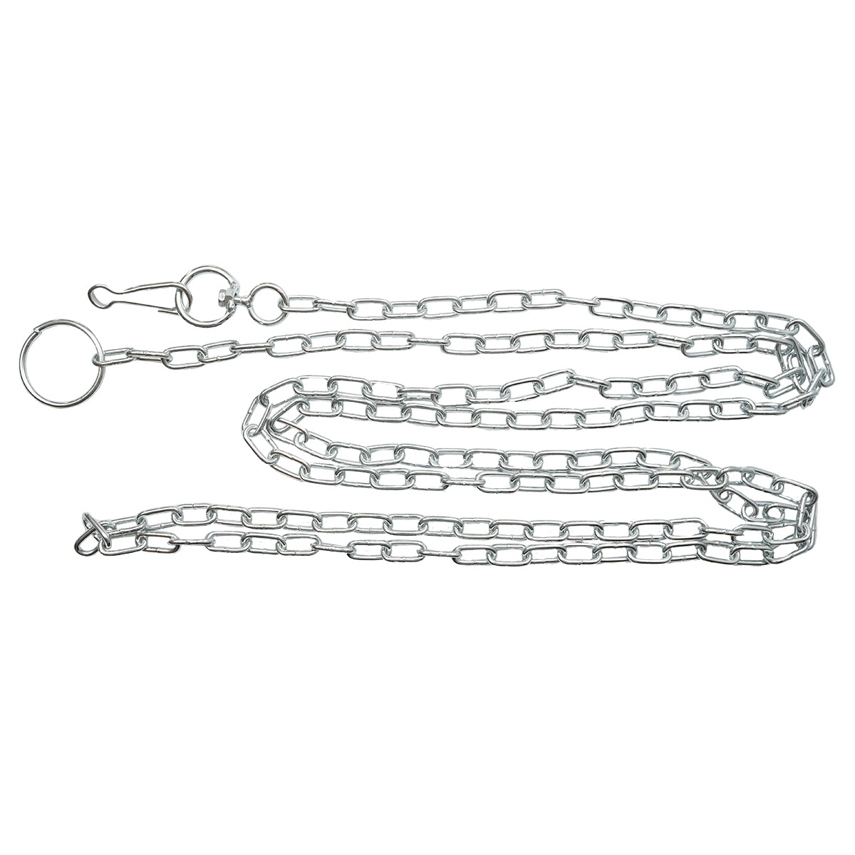 Catena in acciaio da 3,2 m per animali.