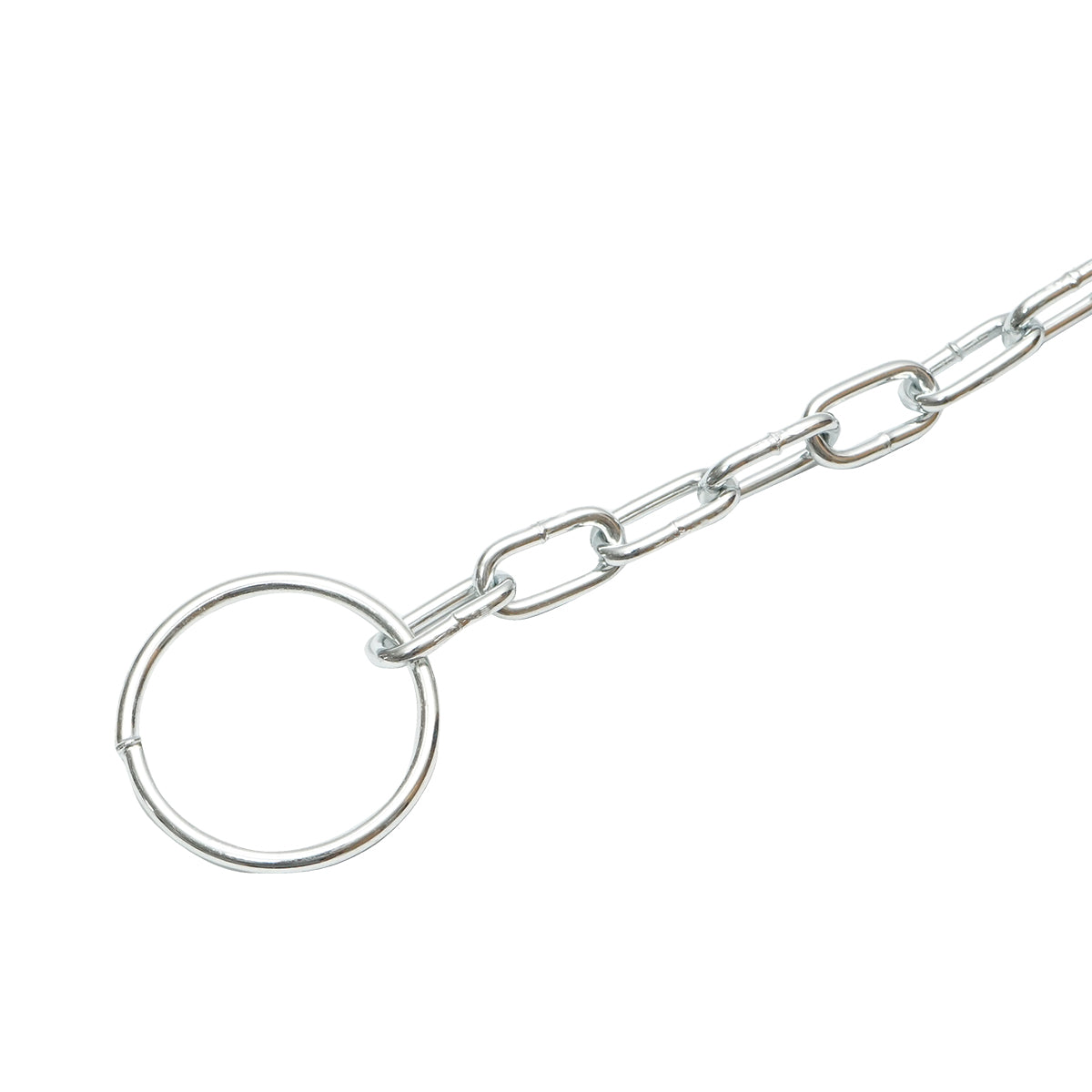 Catena in acciaio da 3,2 m per animali.