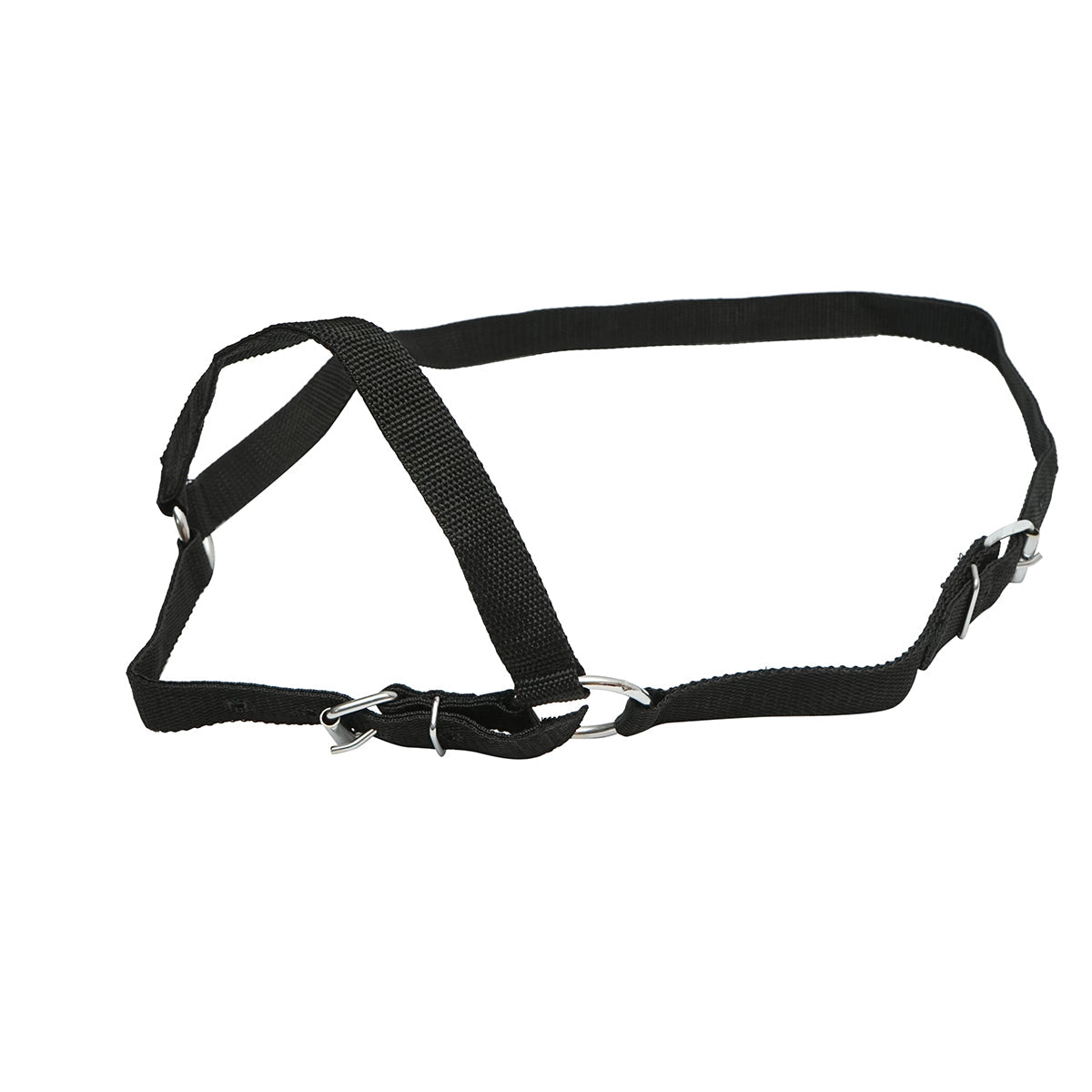 Cavezza in nylon per mucca 25mm