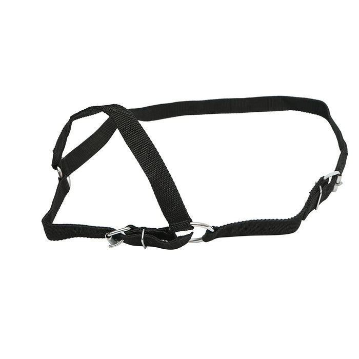 Cavezza in nylon per mucca 25mm