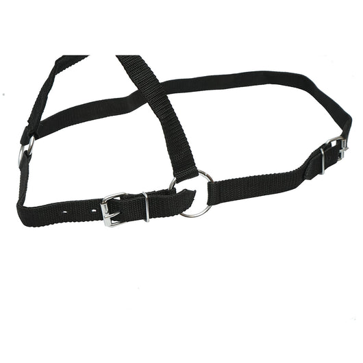 Cavezza in nylon per mucca 25mm