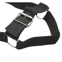 Cavezza in nylon per mucca 50mm