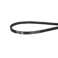 Cinghia di trasmissione  Z 10x6x1613 LA