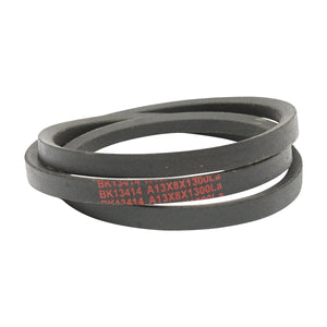 Cinghia di trasmissione 13x8x1300 La