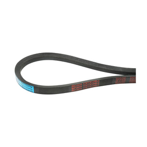 Cinghia di trasmissione 17x11x1346 La