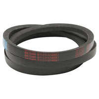 Cinghia di trasmissione 17X11X1600 Li