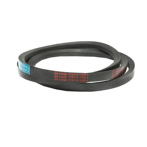 Cinghia di trasmissione 17x11x1969 La