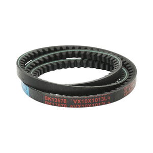 Cinghia di trasmissione AVX 10X1013 La