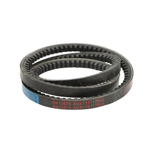 Cinghia di trasmissione AVX 13X1175 La