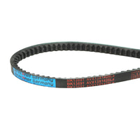 Cinghia di trasmissione dentata AVX 13X1425 Per Trattore Forestier motore Perkins