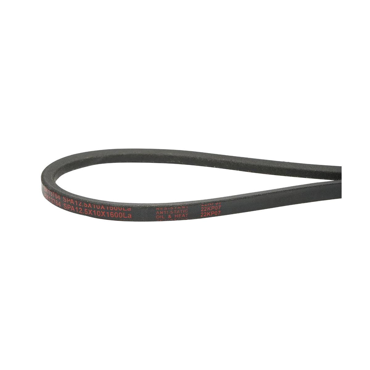 Cinghia di trasmissione SPA 12,5x10x1600 LA