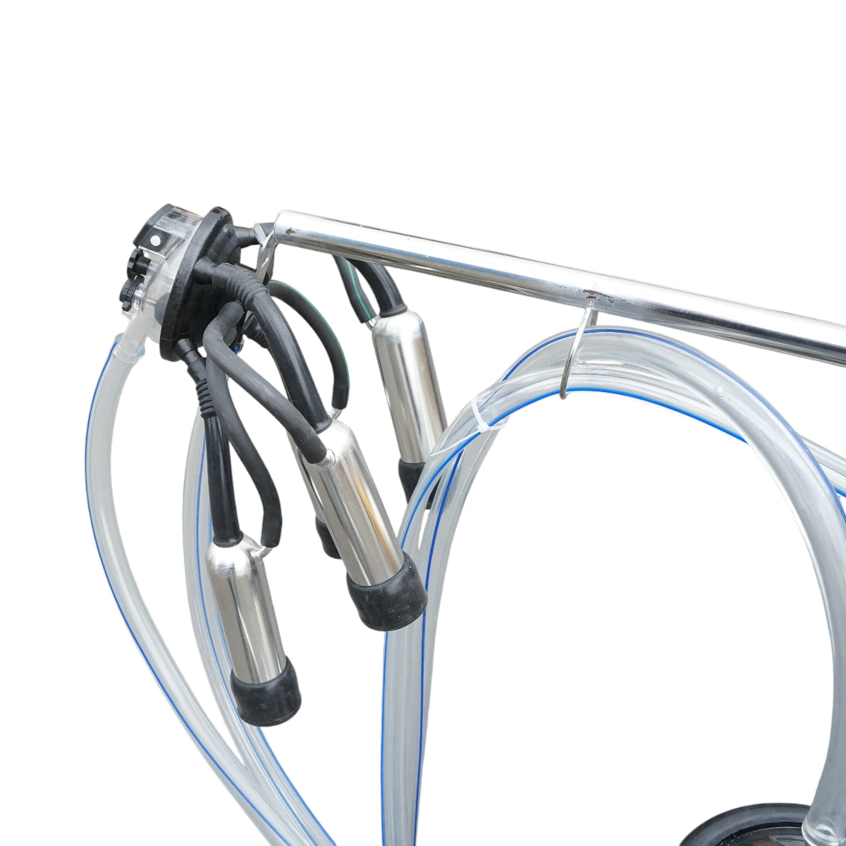 Dispositivo per mungitura di mucche, 1 postazione, 750W, 220V, bidone in acciaio inox da 25L, gruppo di mungitura con 4 manicotti, pressione del vuoto 40-50 kPa, pulsazioni 60-80 cpm.