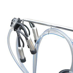 Dispositivo per mungitura di mucche, 1 postazione, 750W, 220V, bidone in acciaio inox da 25L, gruppo di mungitura con 4 manicotti, pressione del vuoto 40-50 kPa, pulsazioni 60-80 cpm.