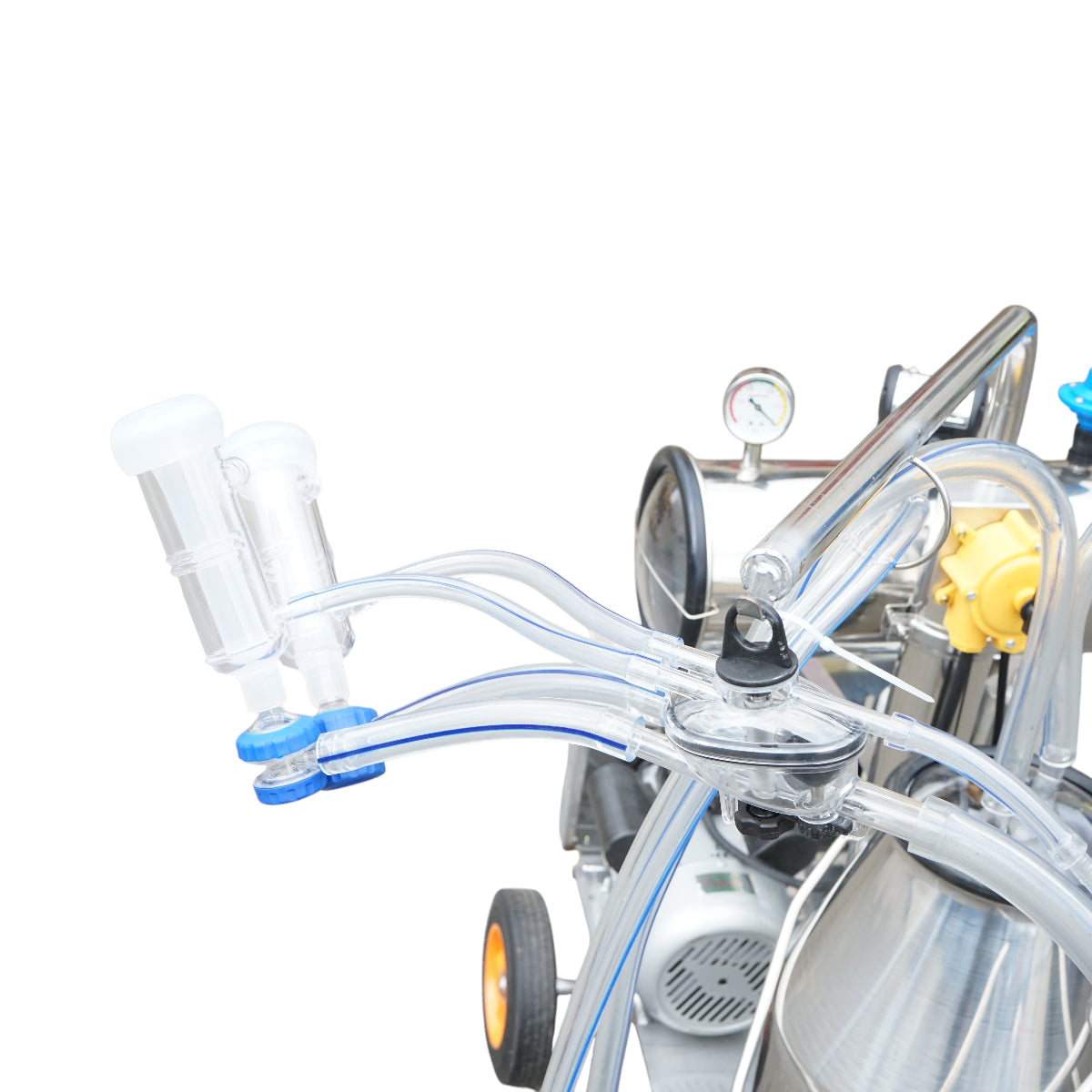 Dispositivo per mungitura di pecore, 1 postazione, 750W, 220V, bidone in acciaio inox da 25L, gruppo di mungitura con 2 manicotti, pressione del vuoto 40-50 kPa, pulsazioni 60-80 cpm