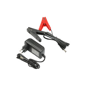 Elettrificatore 2 Joule per recinto elettrico 20Km, 12V/220V, BRITMANN