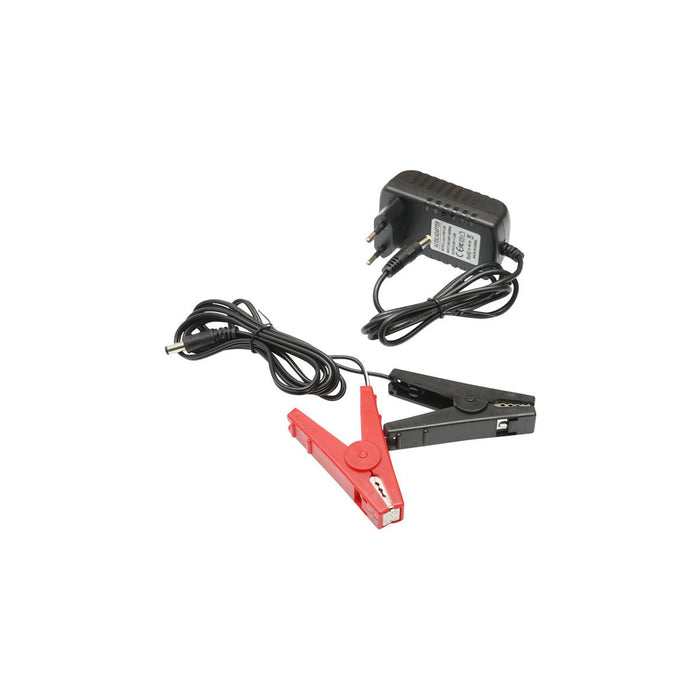 Elettrificatore a doppia alimentazione per recinto elettrico 12V - 220V 2 Joule, 20Km IP54 recinzione elettrica Breckner Germany