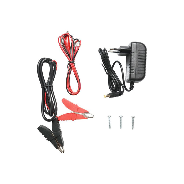 Elettrificatore a doppia alimentazione per recinto elettrico 12V - 220V 6 Joule 30km recinzione elettrica Breckner Germany