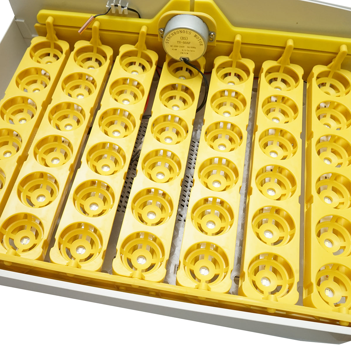 Incubatrice automatica per 32 uova, 220V, rotazione automatica, controllo della temperatura e umidità, display elettronico, vassoio illuminato a LED