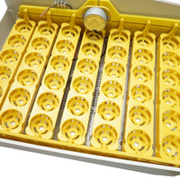 Incubatrice automatica per 32 uova, 220V, rotazione automatica, controllo della temperatura e umidità, display elettronico, vassoio illuminato a LED