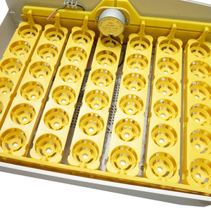 Incubatrice automatica per 32 uova, 220V, rotazione automatica, controllo della temperatura e umidità, display elettronico, vassoio illuminato a LED