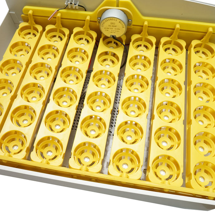 Incubatrice automatica per 32 uova, 220V, rotazione automatica, controllo della temperatura e umidità, display elettronico, vassoio illuminato a LED