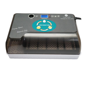 Incubatrice per uova automatica 12 uova EW9-12 Breckner Germany