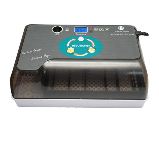 Incubatrice per uova automatica 12 uova EW9-12 Breckner Germany