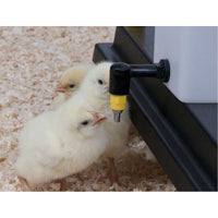 Abbeveratoio Ergonomico 1 Litro per Pulcini: Alta Igiene e Facilità di Uso