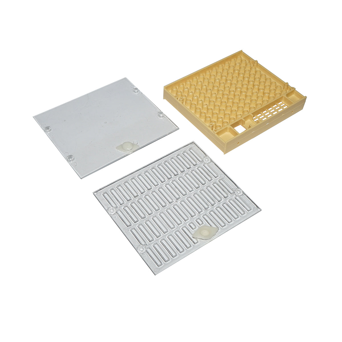 Kit di allevamento di regine