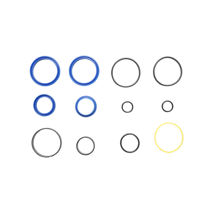 Kit di riparazione cilindro idraulico RA81