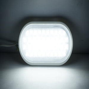 Lampada da parete ovale a LED 18W, 220V, IP65 per interni/esterni 270x140mm Luce fredda